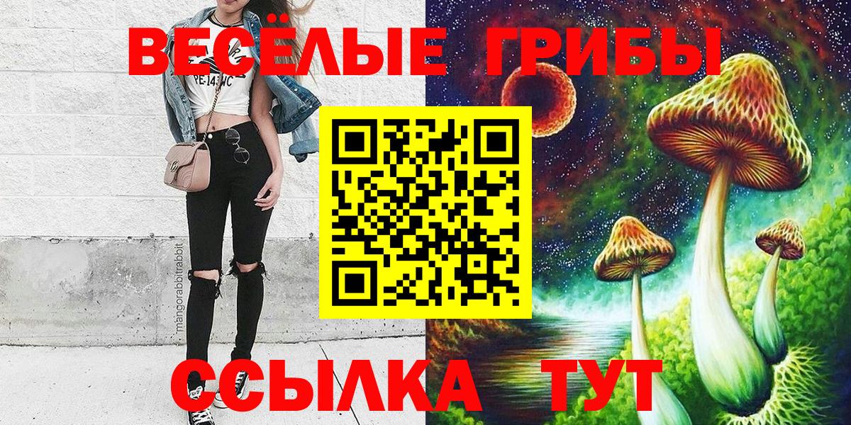 Псилоцибиновые грибы Psilocybe Кумертау