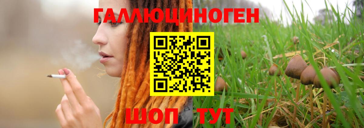 Кумертау  Галлюциногенные грибы Cubensis  Псилоцибиновые грибы MAGIC MUSHROOMS  Вход с VPN 